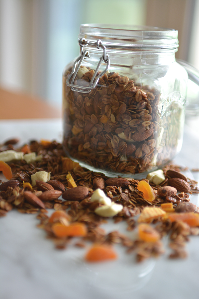 an image of a glass canister filled with rolled oats, almonds, dried mango, and dried apricot. some of these ingredients are scattered beside the canister