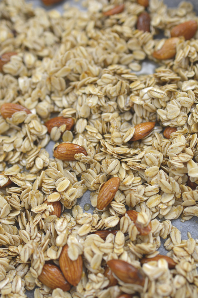 close-up view of a mixture of scattered rolled oats and whole almonds