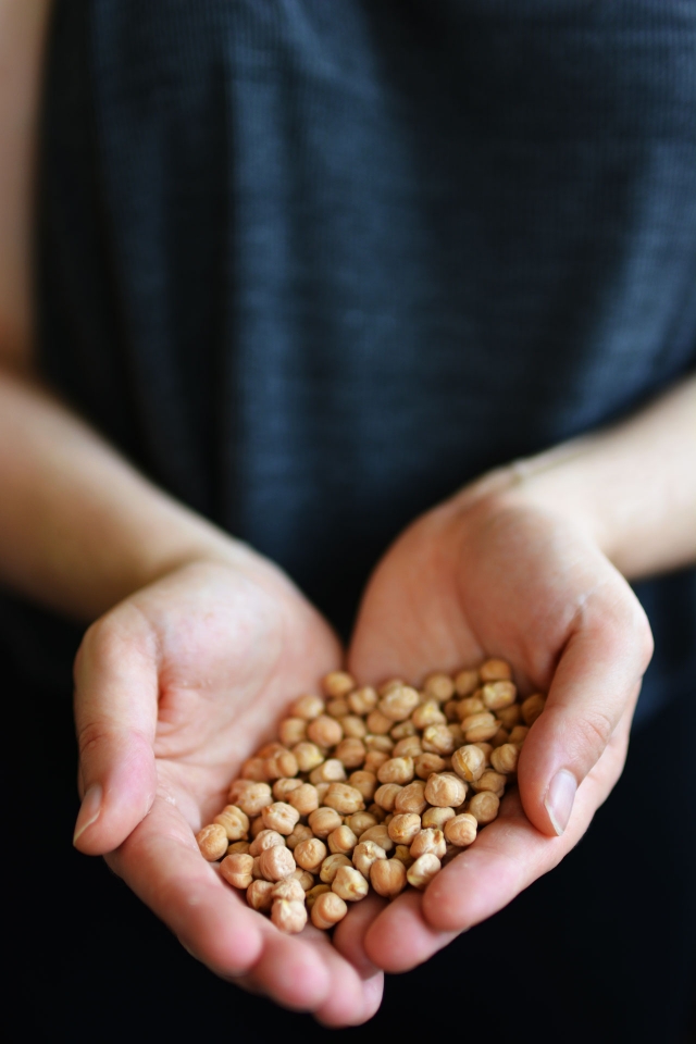 hands holding raw chickpeas
