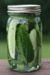 Pickles cucumbers and garlic scapes